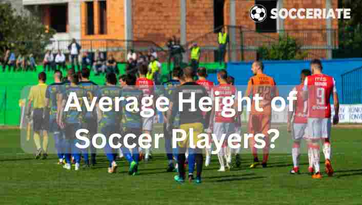 average height of soccer players